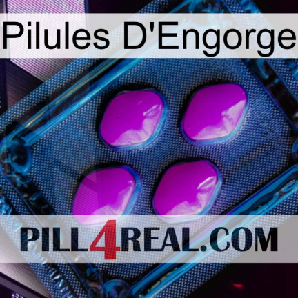 Engorge Pills 04